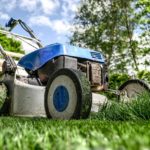 entretien de jardin locataire ou proprietaire
