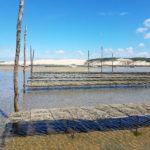 marche immobilier arcachon