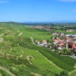 Paysage viticole en Alsace près de Colmar, avec vue sur les vignes et un village typique